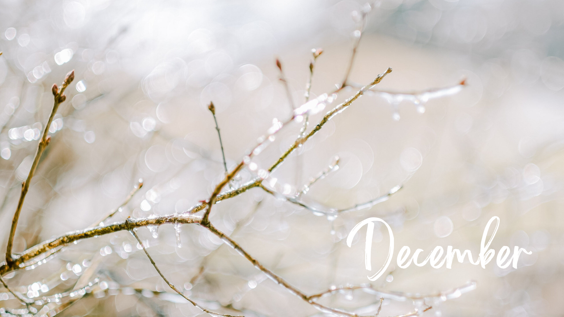 cute december backgrounds 0035