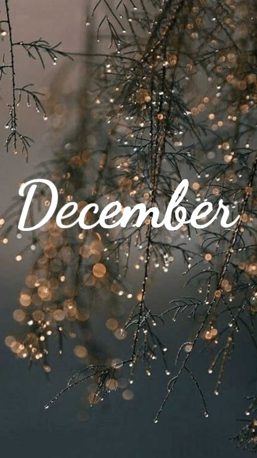 cute december backgrounds 0091