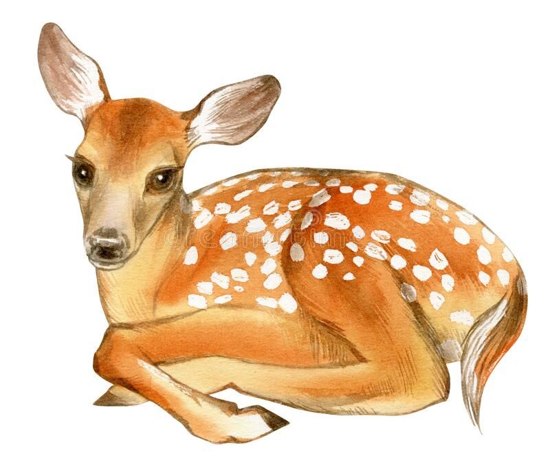 cute deer background 0045