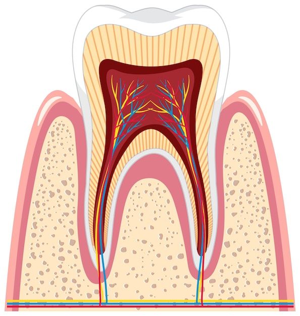 cute dental backgrounds 0089