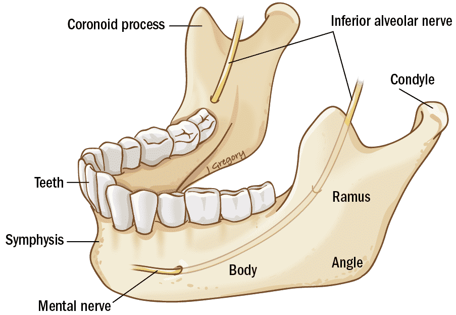 cute dental backgrounds 0096