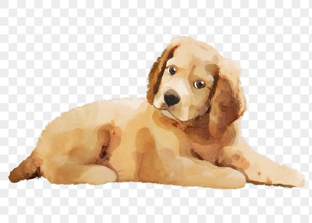 cute dog PNG transparent backgrounds