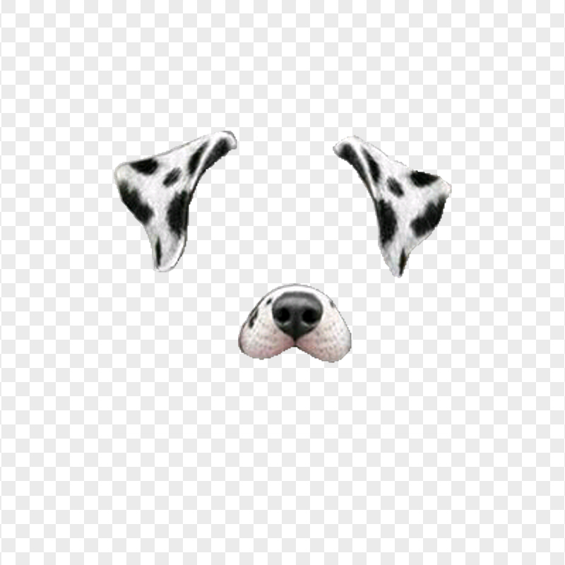 cute dog transparent background 0094