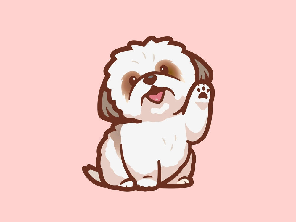 cute dog white background 0038