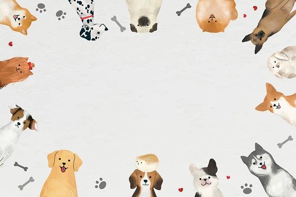 cute dog white background 0039