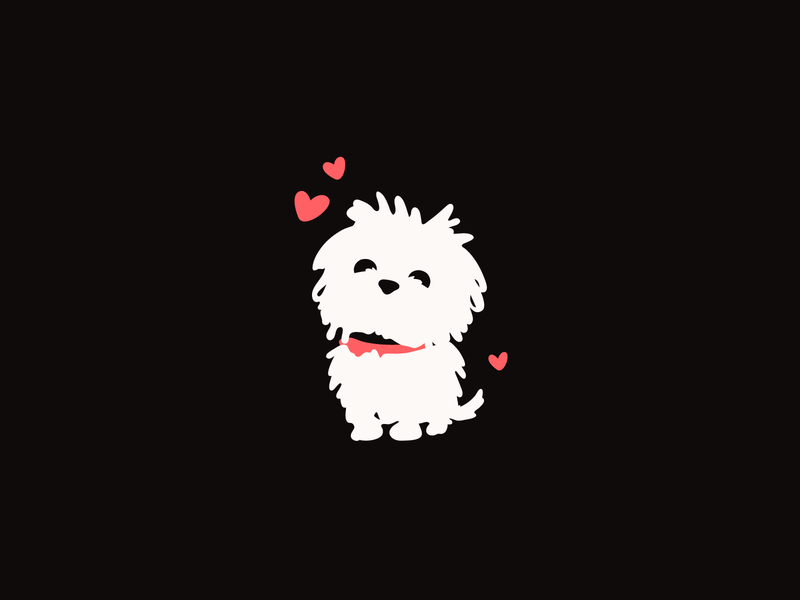 cute dog white background 0052