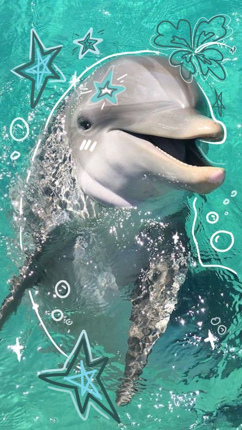 cute dolphin backgrounds 0014