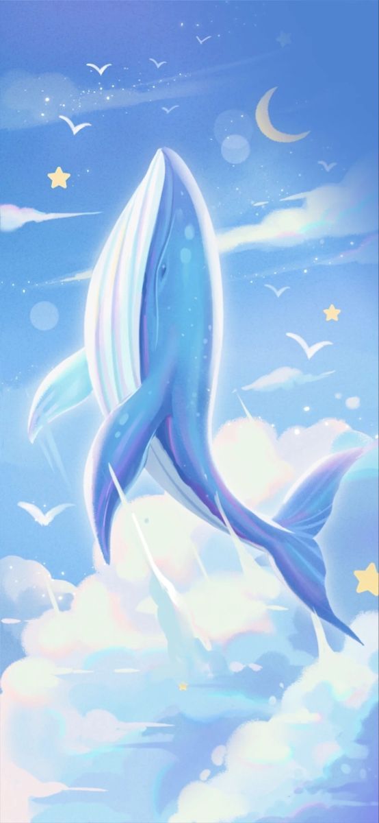 cute dolphin backgrounds 0028