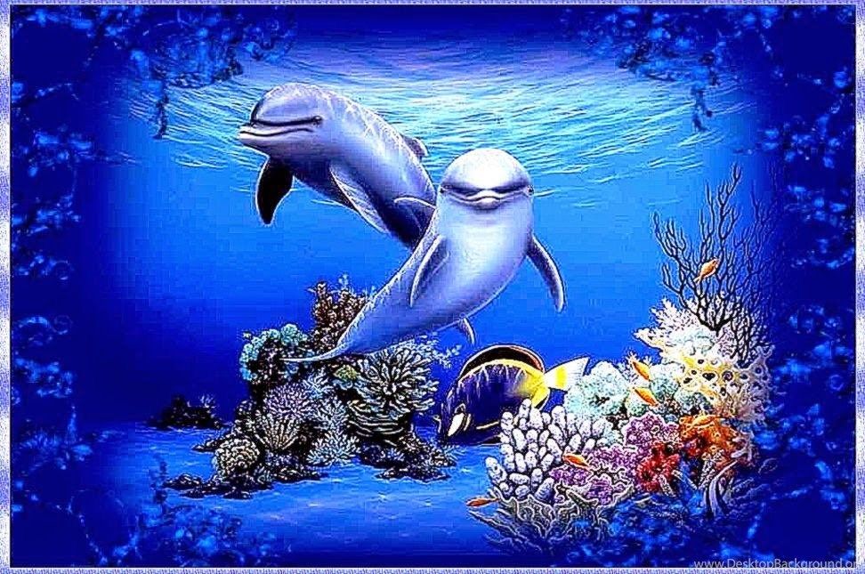 cute dolphin backgrounds 0029