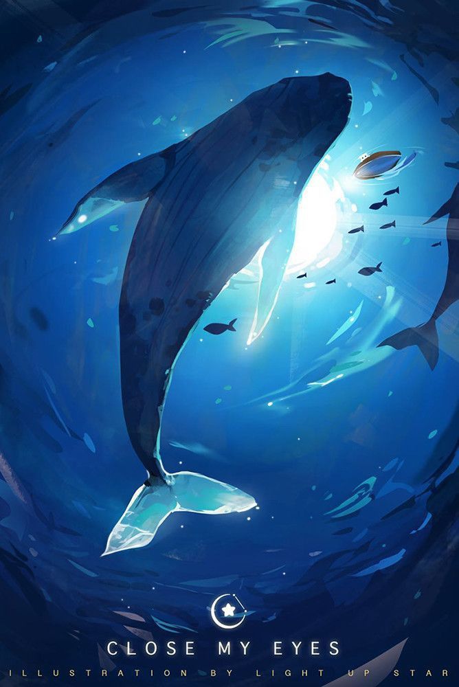 cute dolphin backgrounds 0041