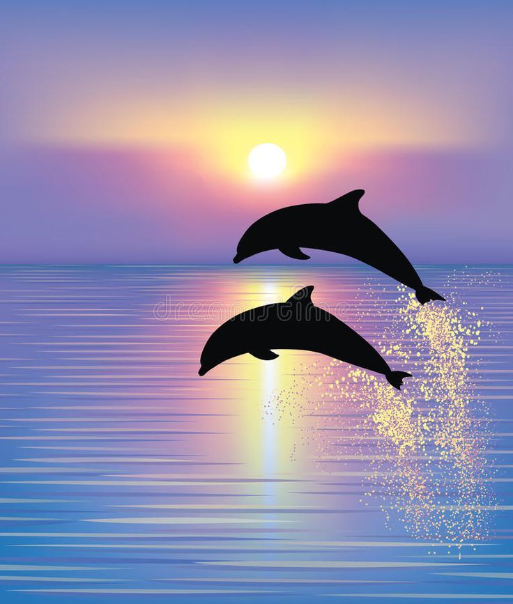 cute dolphin backgrounds 0062