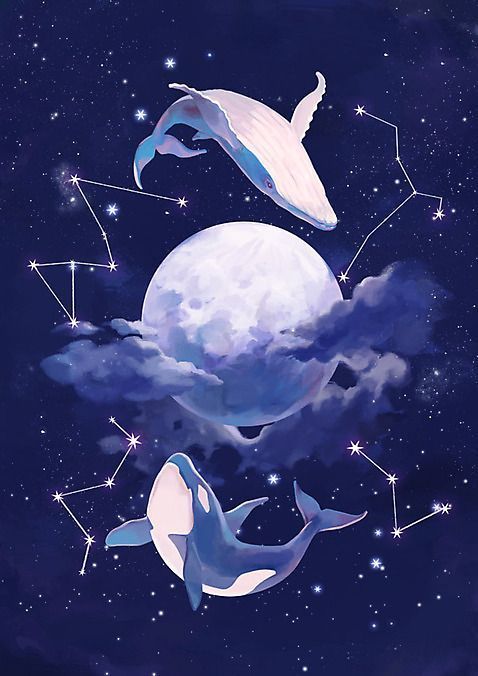 cute dolphin backgrounds 0068