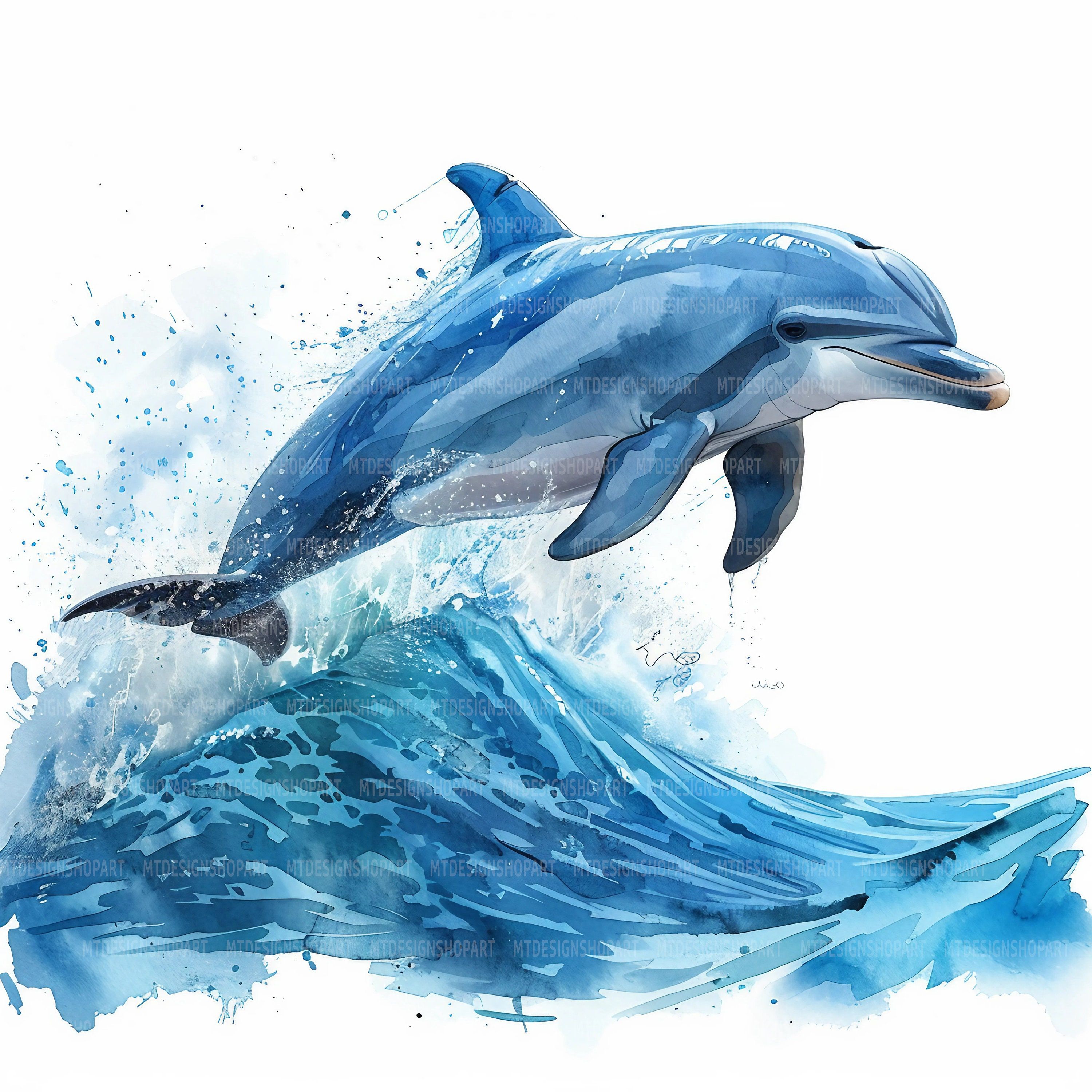 cute dolphin backgrounds 0077