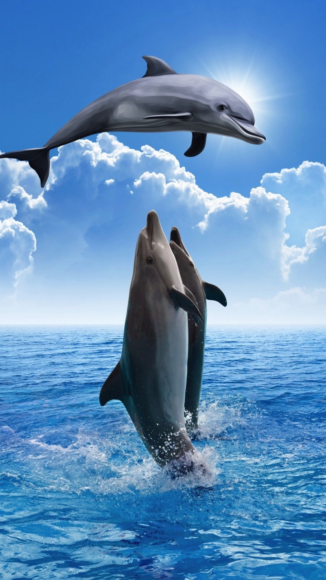 cute dolphin backgrounds 0079