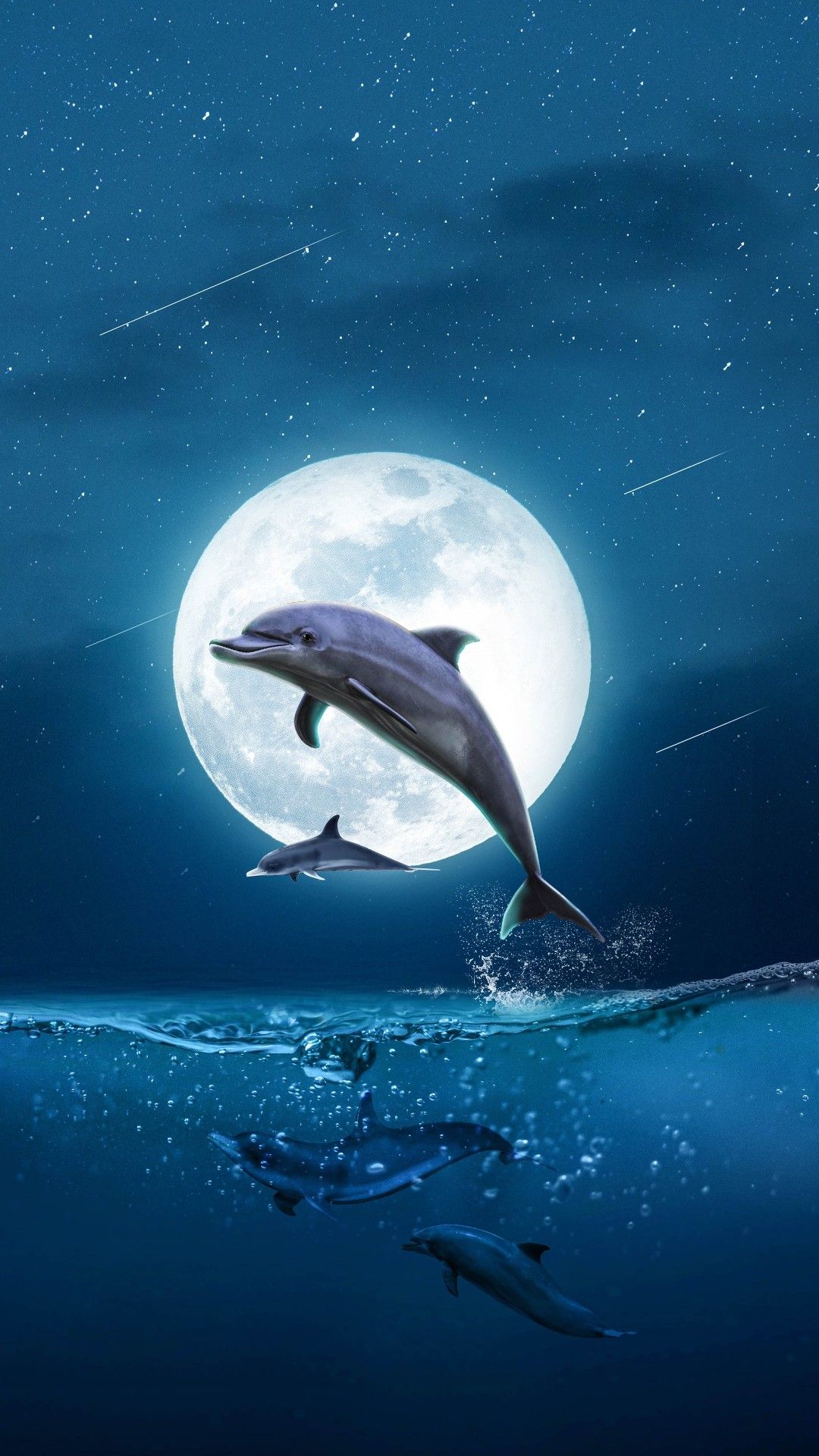 cute dolphin backgrounds 0086