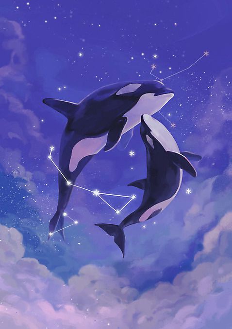 cute dolphin backgrounds 0095