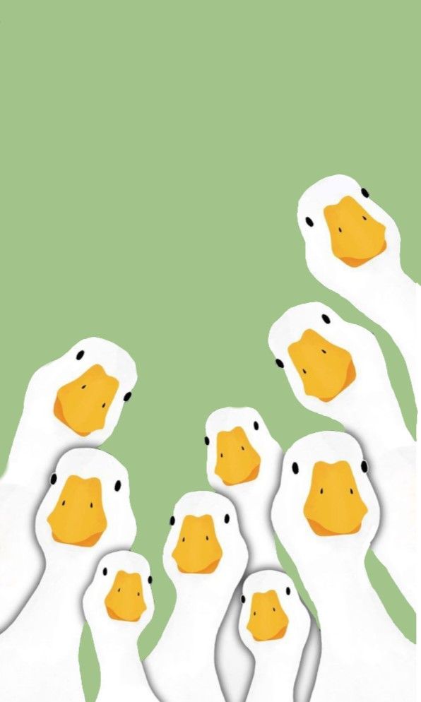 cute duck backgrounds 0014