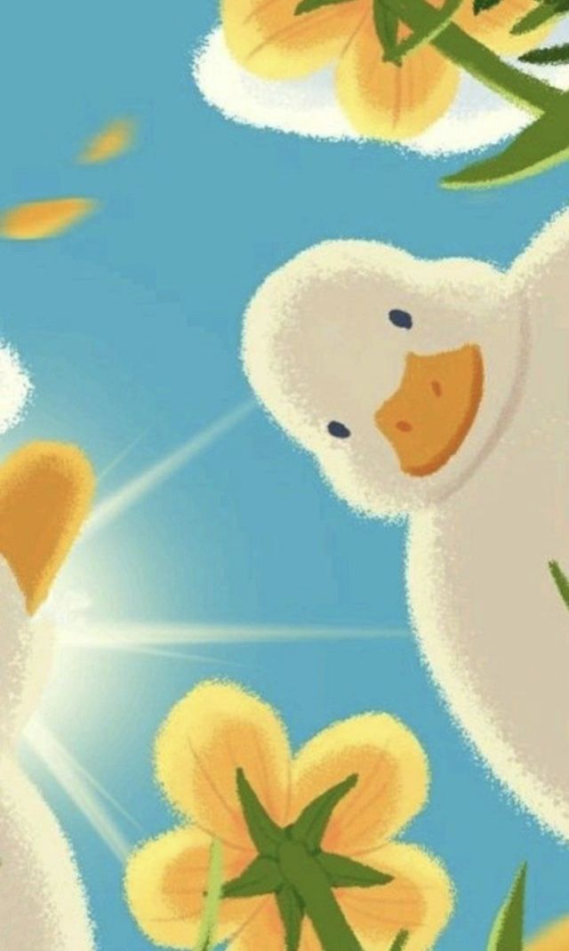 cute duck backgrounds 0058