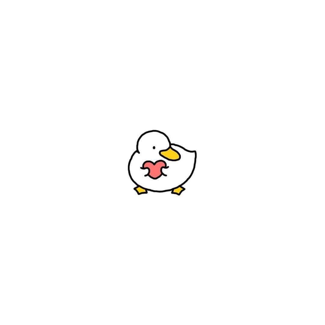 cute duck backgrounds 0061