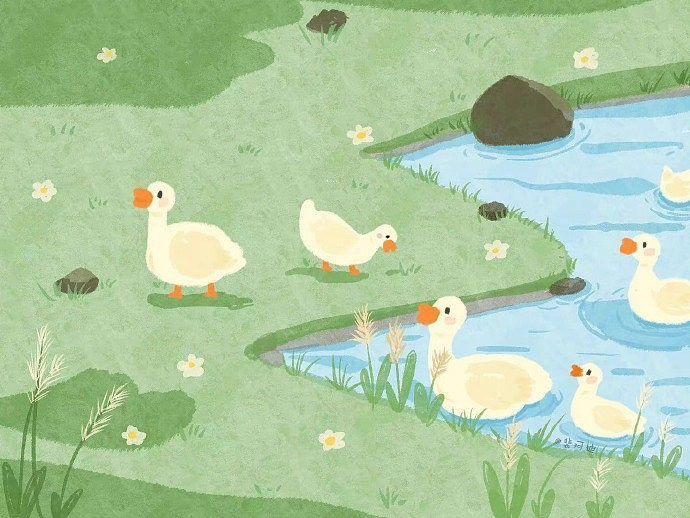 cute duck backgrounds 0074