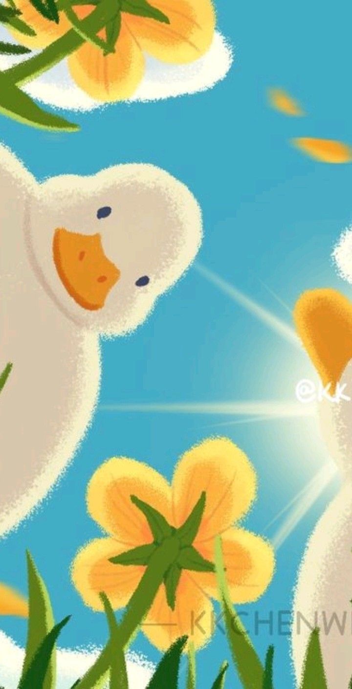 cute duck backgrounds 0075