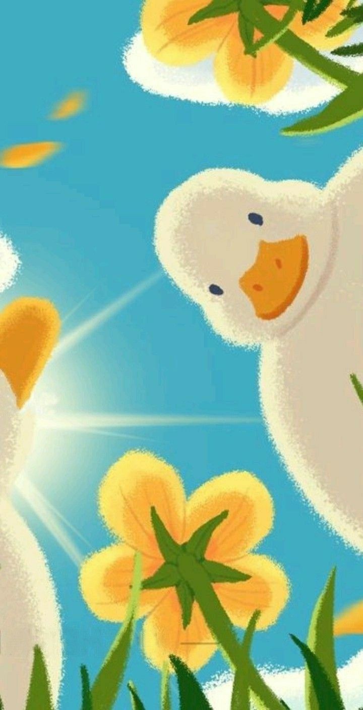 cute duck backgrounds 0078