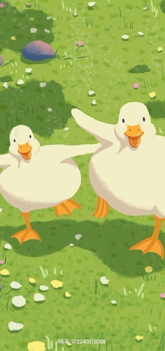 cute duck backgrounds 0081