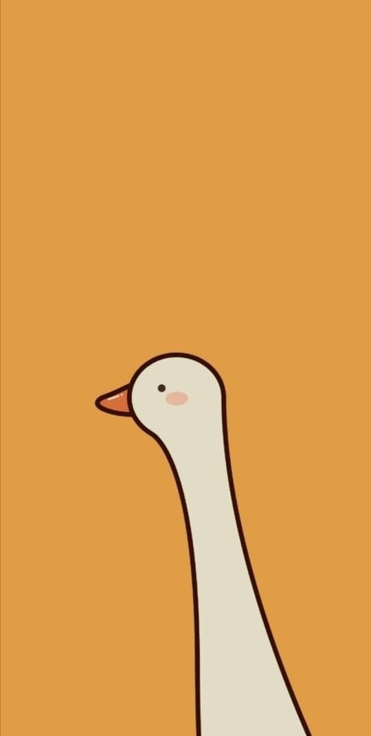 cute duck backgrounds 0085