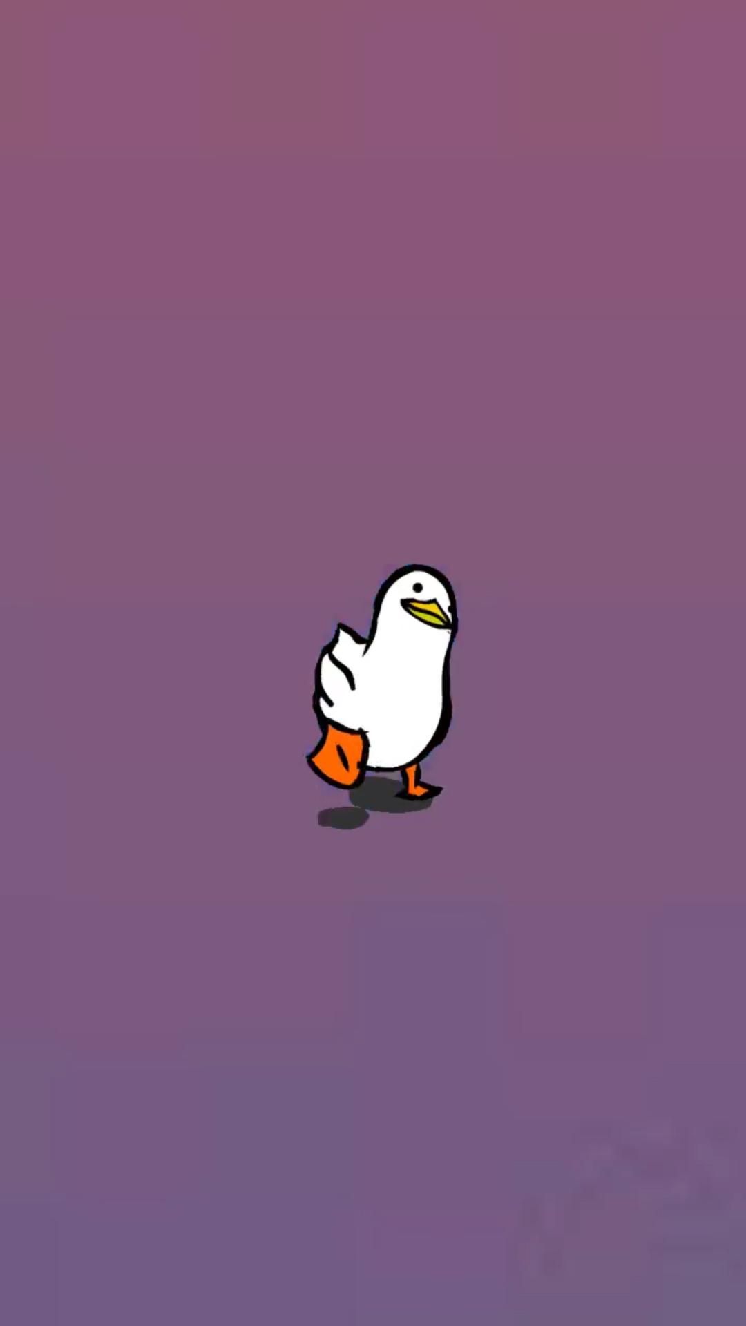 cute duck backgrounds 0096