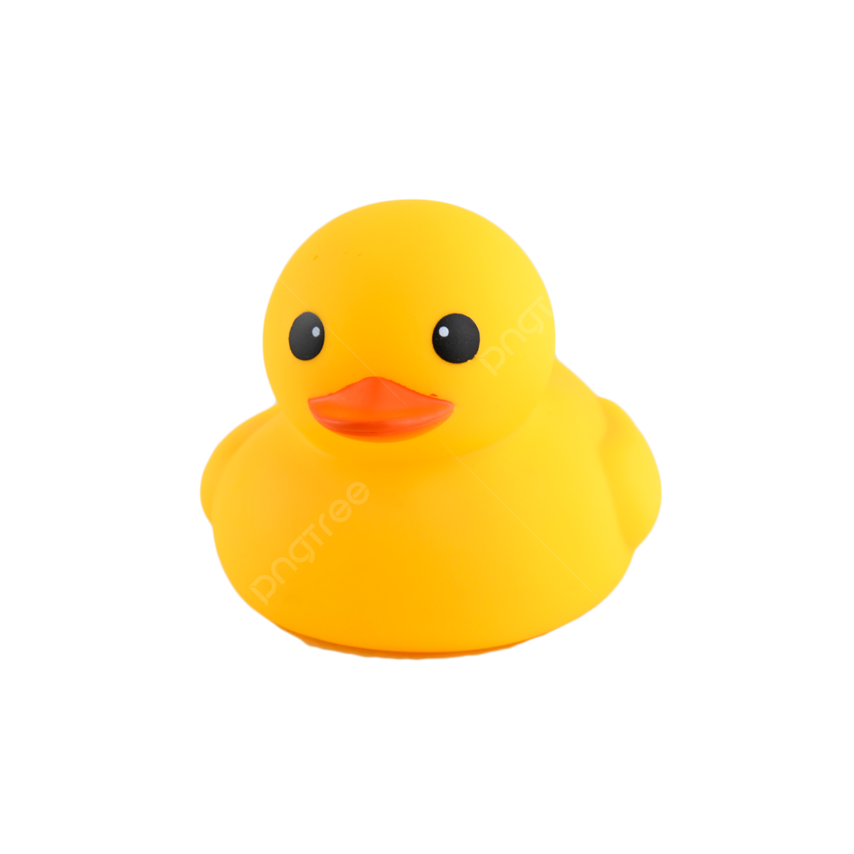 cute duck transparent background 0010