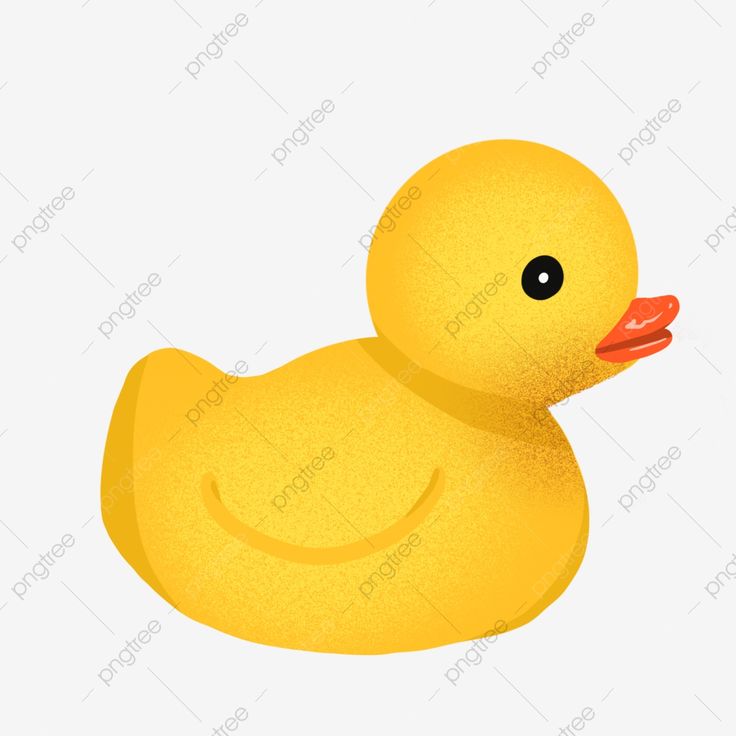 cute duck transparent background 0011