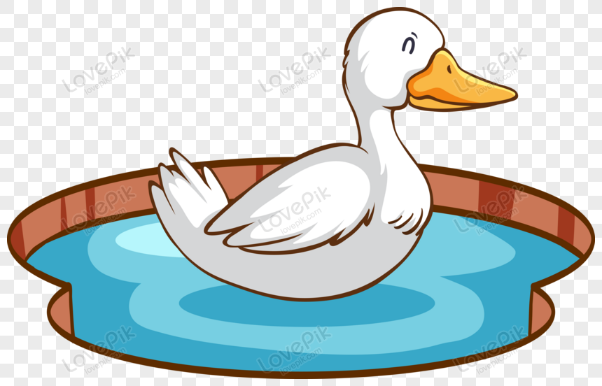 cute duck transparent background 0020