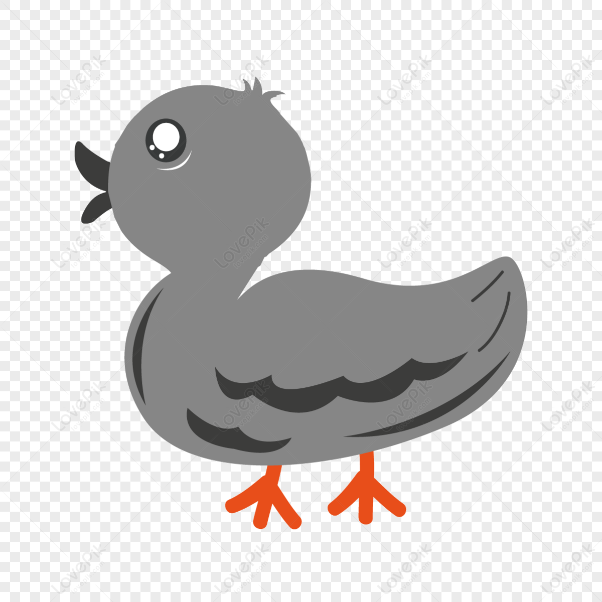 cute duck transparent background 0025