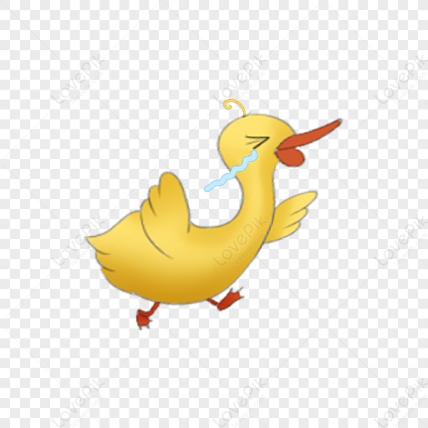 cute duck transparent background 0026