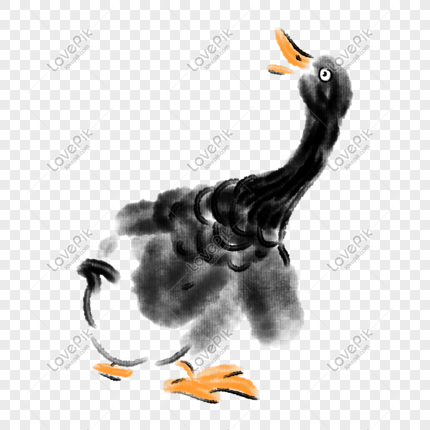 cute duck transparent background 0032