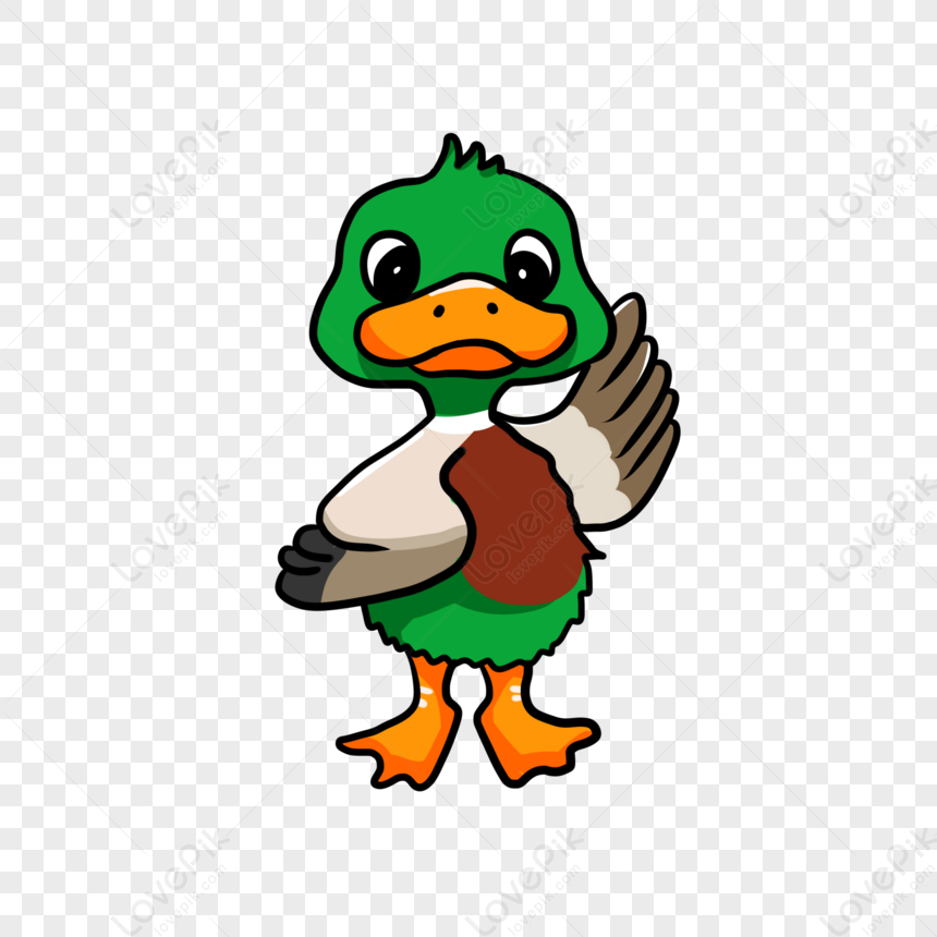 cute duck transparent background 0033