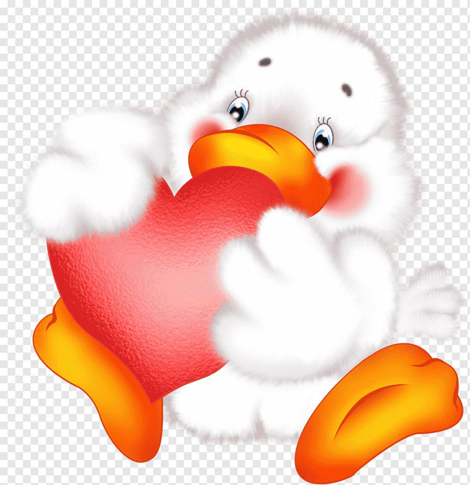 cute duck transparent background 0034