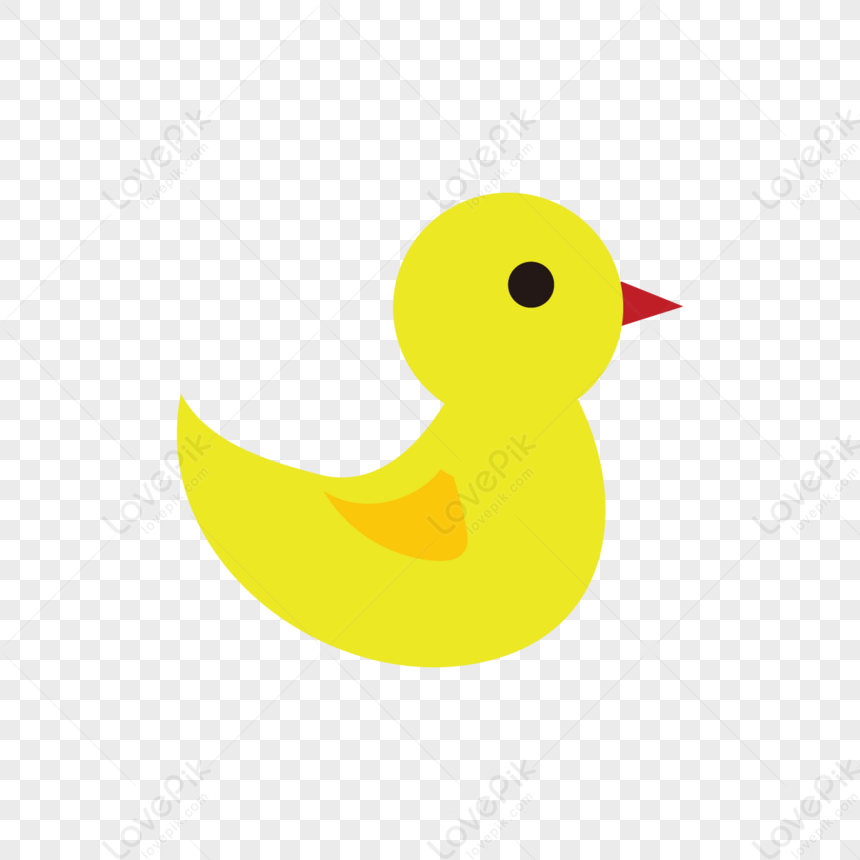 cute duck transparent background 0036