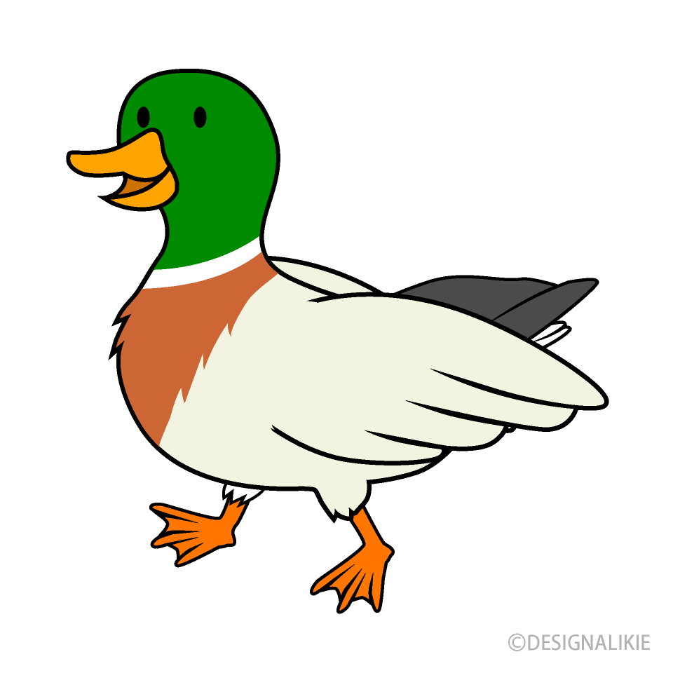 cute duck transparent background 0038