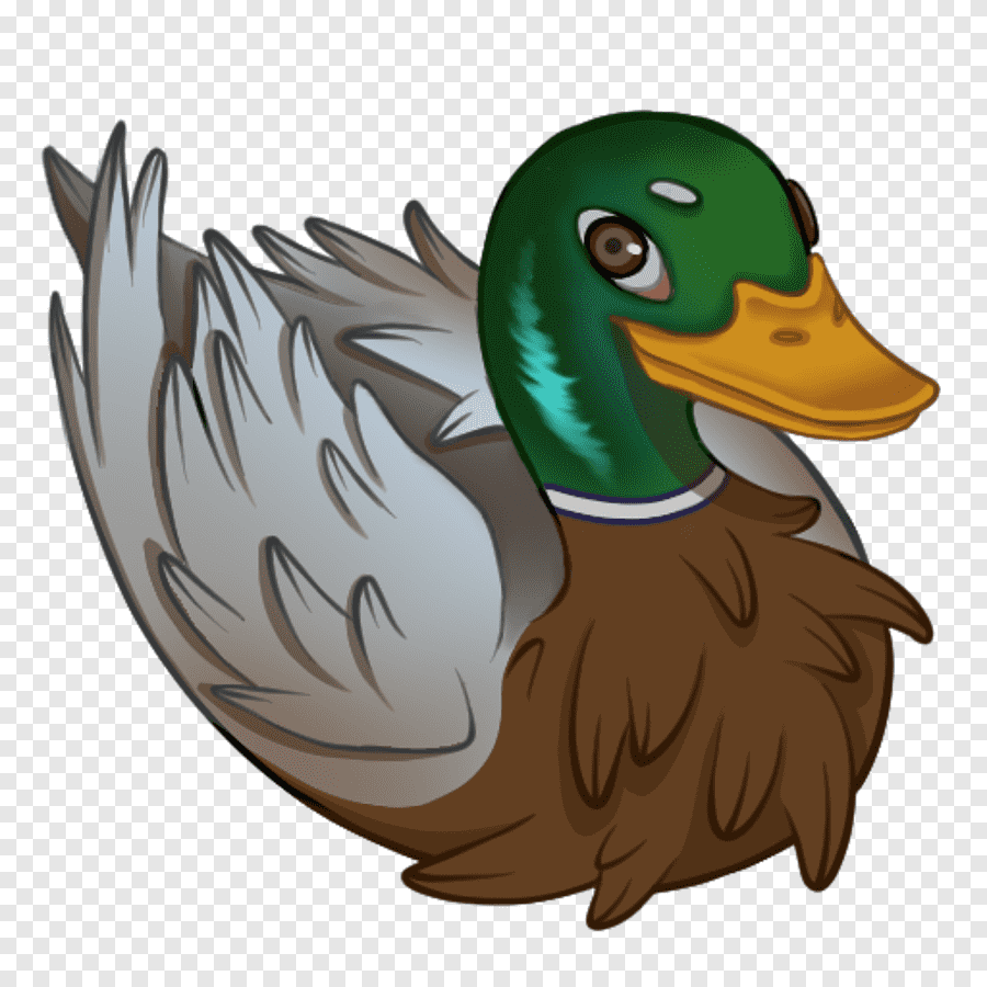 cute duck transparent background 0039