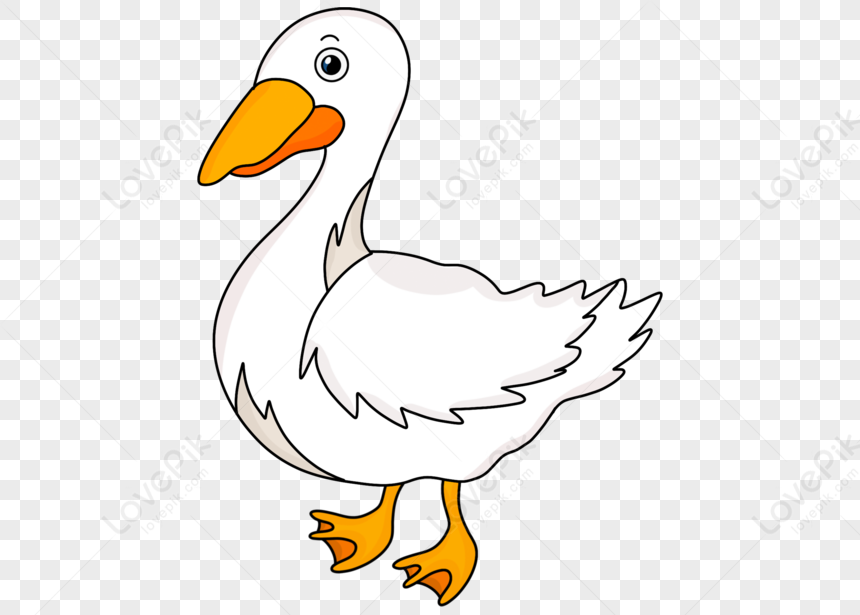 cute duck transparent background 0043