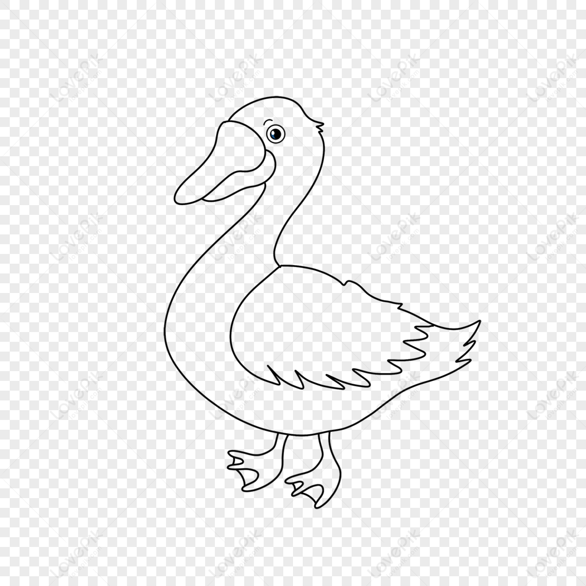 cute duck transparent background 0046