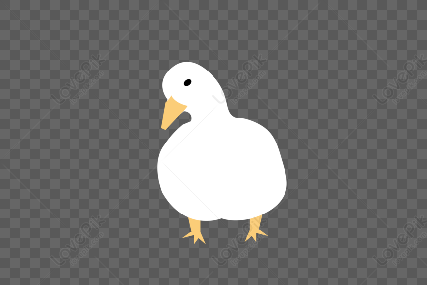 cute duck transparent background 0051