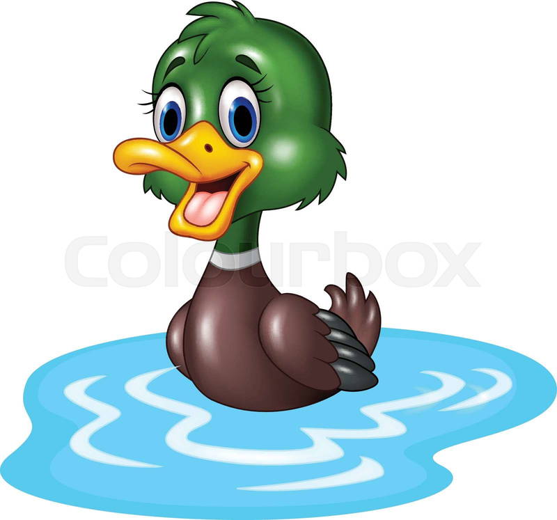 cute duck transparent background 0053