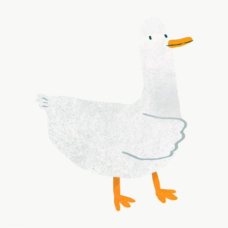 cute duck transparent background 0062