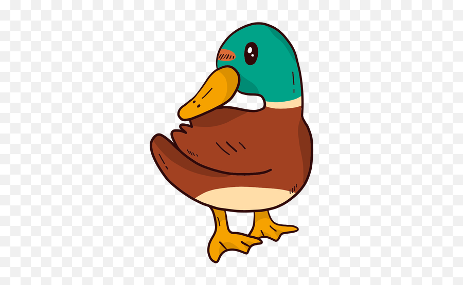 cute duck transparent background 0070