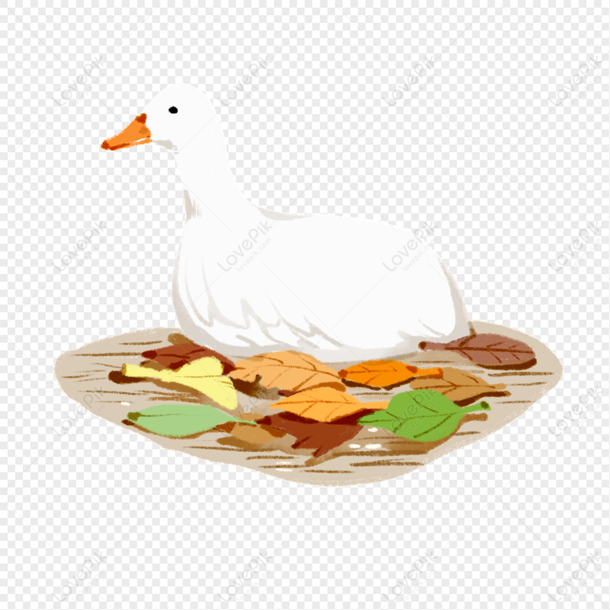 cute duck transparent background 0072