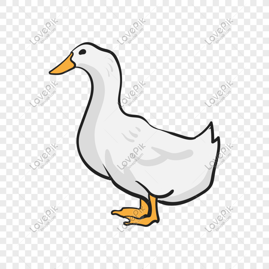 cute duck transparent background 0076