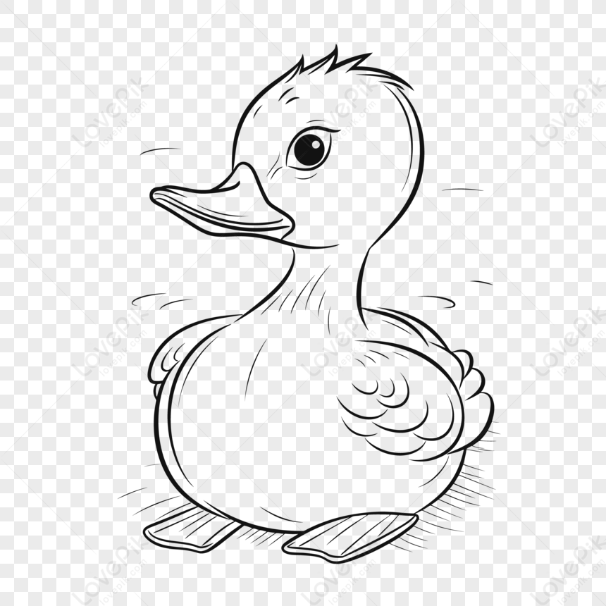 cute duck transparent background 0082