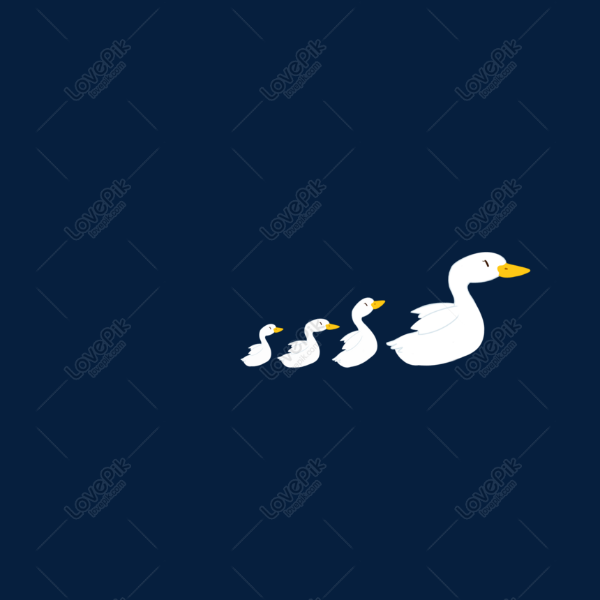 cute duck transparent background 0085